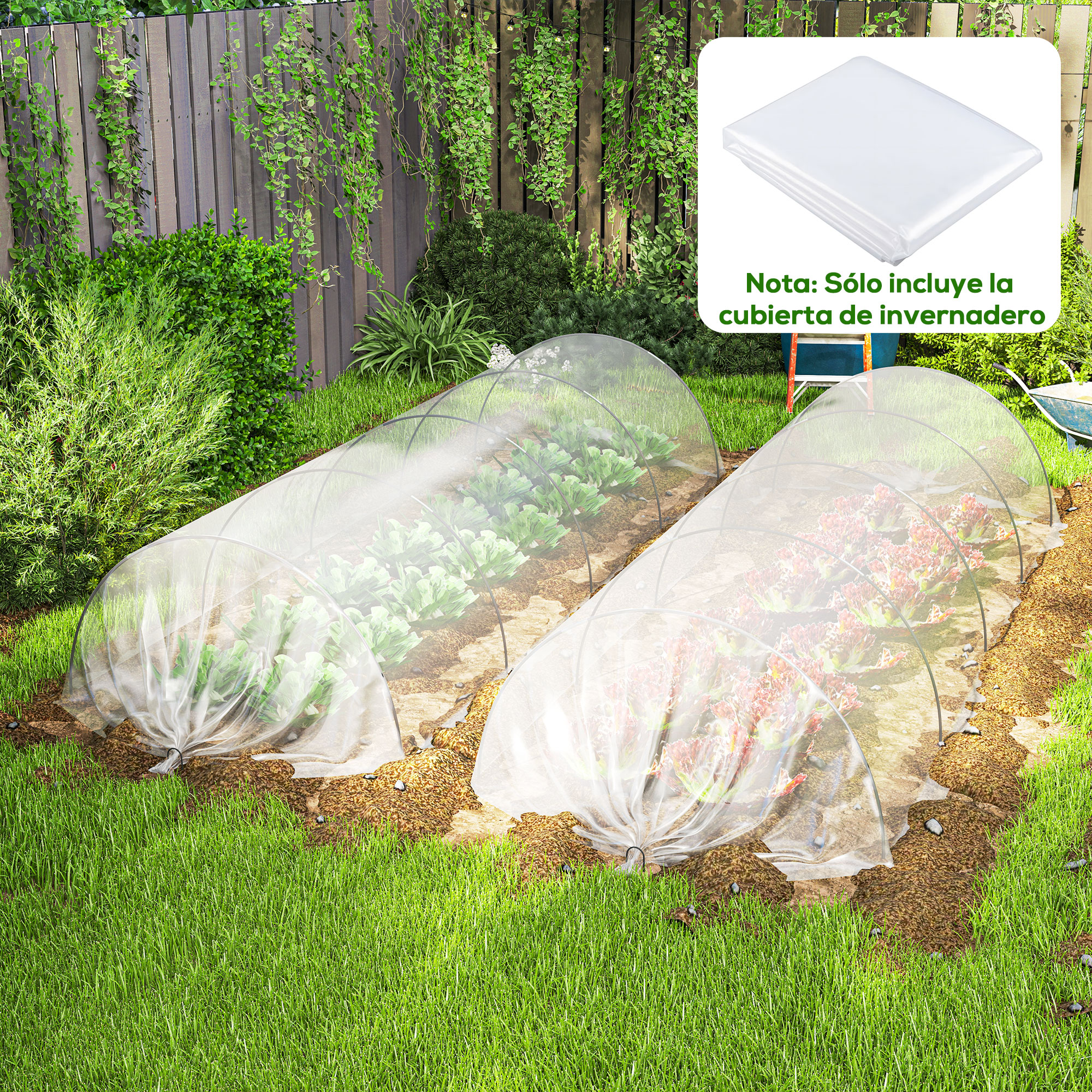 Ersatz-gewächshausabdeckung Aus Polypropylen, 6 X 10 M, Für Gemüsegarten, Pflanzen, Landwirtschaft Und Garten – Transparent