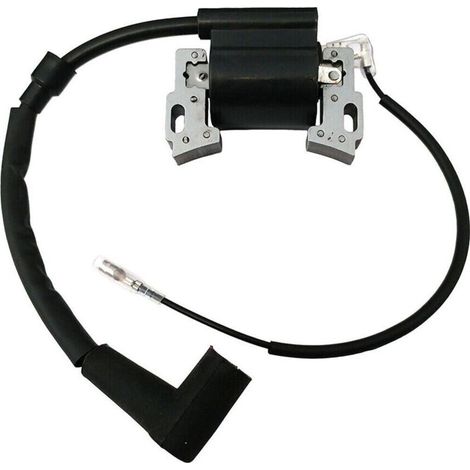 Zündspule - Kompatibel Mit Sv150, Rv150, M150, V35, V40 Motoren