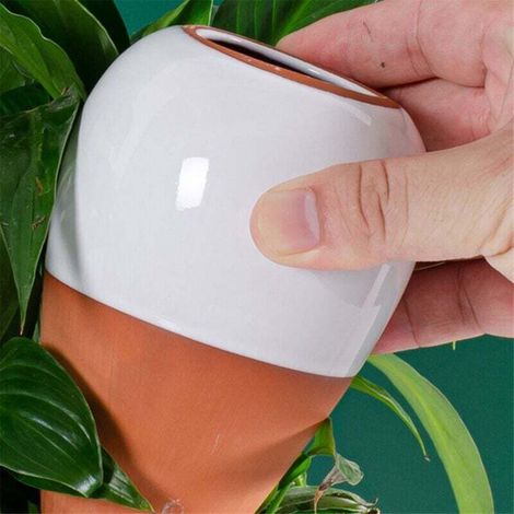 Automatische Gießkanne Aus Terrakotta, 473 Ml (16 Oz), Mit Langzeit-tropfbewässerung, 4-teilig
