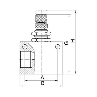 Riegler Drosselrückschlagventil »ASC«, in Blockform, Aluminium, G 1/8