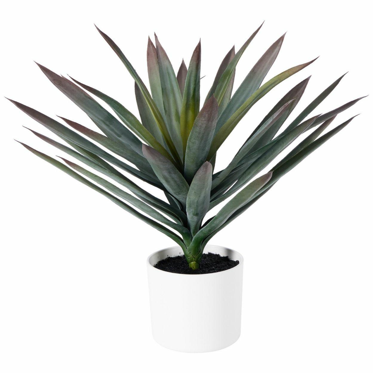 Künstliche Agave Im 50-cm-topf – Eine Dekorative Pflanze Für Innenräume Und Gärten