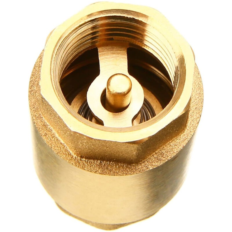 Clapet Anti-retour En Laiton De Haute Qualité De 1 1/2 Pouce, Résistant À La Rouille Et Aux Fuites Pour Pompe, Fontaine, Machine À Laver, Jardin,