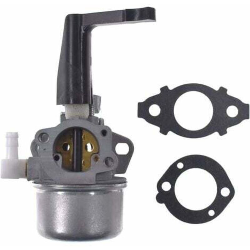 Carburateur De Remplacement Pour Moteurs Horizontaux Briggs & Stratton 110402 110412 – Kit De Joints Inclus – Haute Qualité