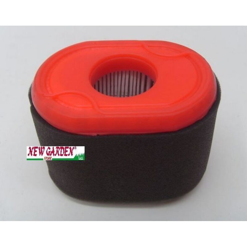 Filtre À Air Briggs Et Stratton 796970 - Filtre À Air Briggs Et Stratton 796970