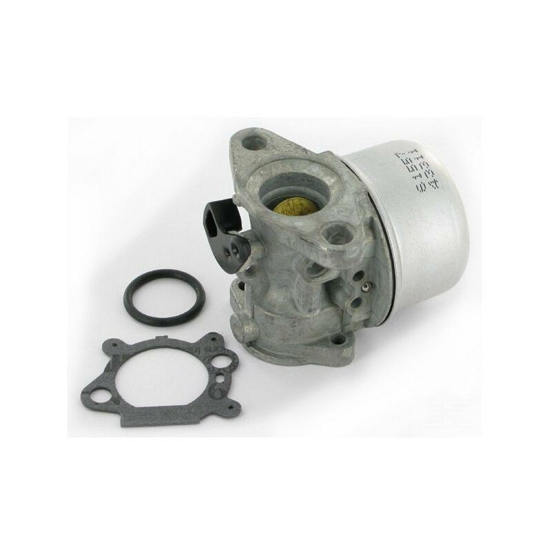 Jardiaffaires – Carburateur Adaptable Briggs Stratton – Remplace 799868 – Compatible Moteurs Quantum Avec Primer – Solution Efficace Pour Entretien