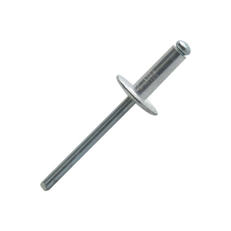 Scell-it – Boîte De 250 Rivets Aveugles Tête Large En Aluminium Et Acier – 4.8 X 20 Mm – Cisaillement 1580n – Asl4820