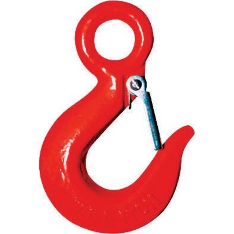 Ösenhaken – Tragfähigkeit 1,5 T – Sicherheitsriegel Aus Legiertem Stahl – 5120b – Ösenhaken – Tragfähigkeit 1,5 T – Sicherheitsriegel Aus Legiertem