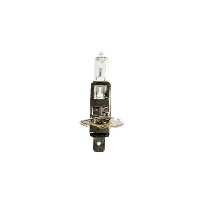 H1 24v 70w P14.5s Glühbirne - H1 24v 70w P14.5s Glühbirne - H1 24v 70w P14.5s Glühbirne