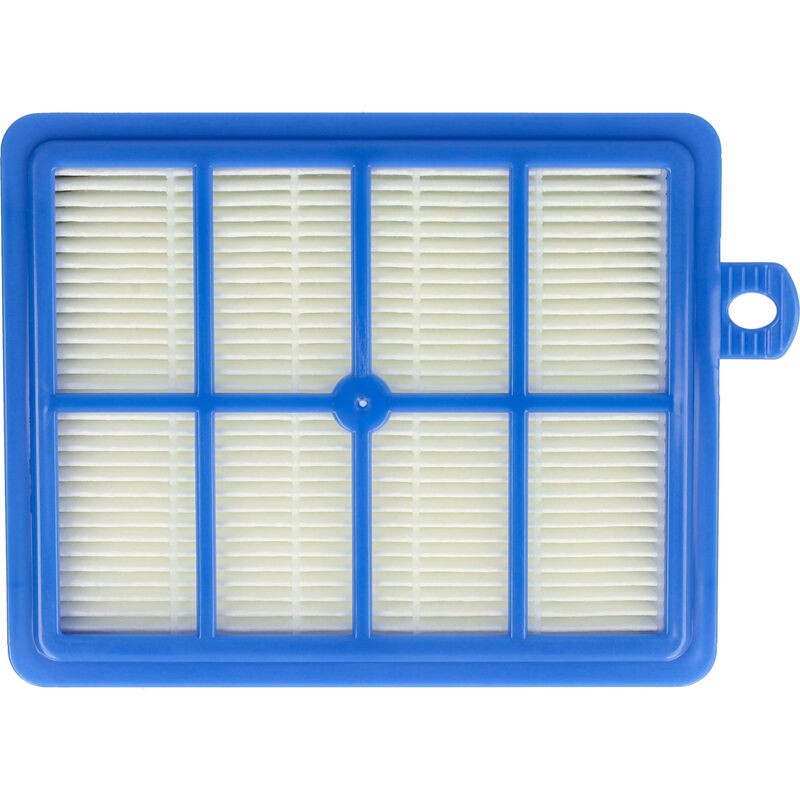 Vhbw 1x Filtre Compatible Avec Electrolux Ergospace, Excellio, Twinclean, Ultraone, S-bag Aspirateur - Remplacement Pour Aef 13 W, Aef13w, H13