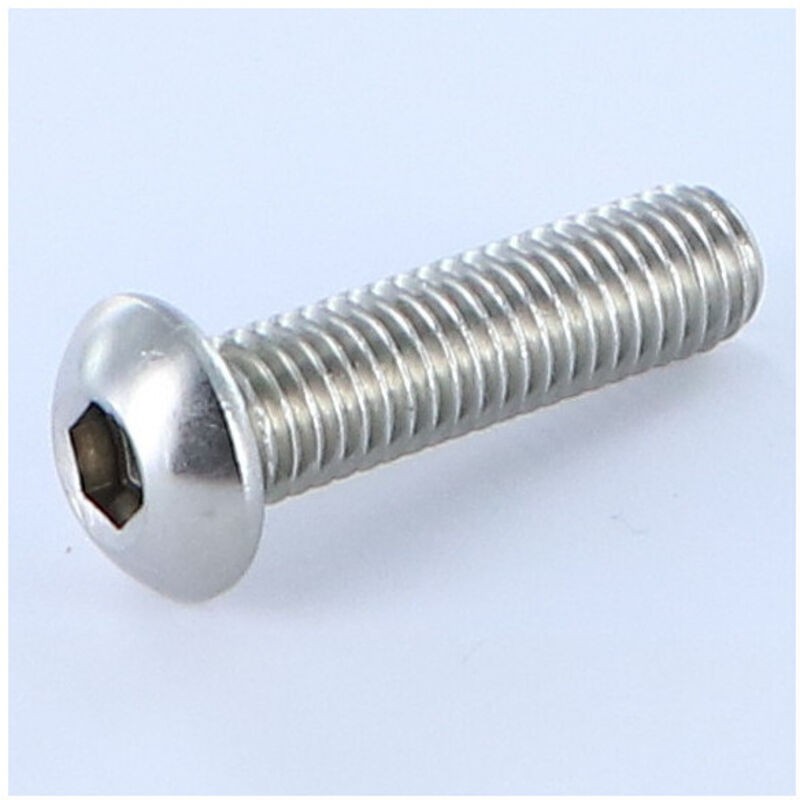 Vis Métaux Bhc (tête Bombée Hexagonal Creux) M6x25 Filetage Total Clé De 4 Hc4 Inox A4-30 Pièces
