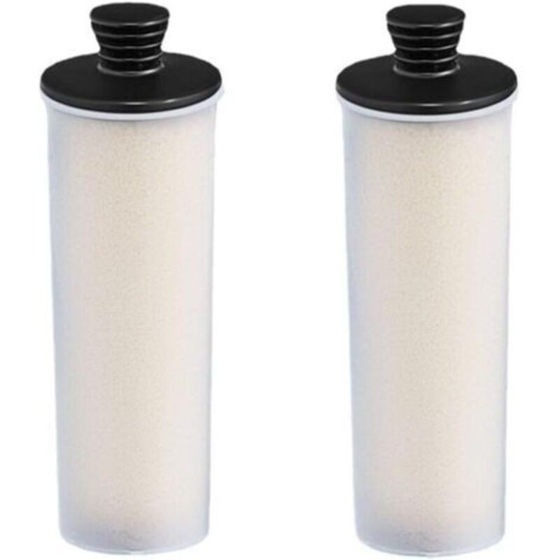 Lot De 2/3/4 Cartouches Filtrantes Détartrantes De Rechange Pour Nettoyeur Vapeur Karcher-sc3 Série Premium (lot De 2)