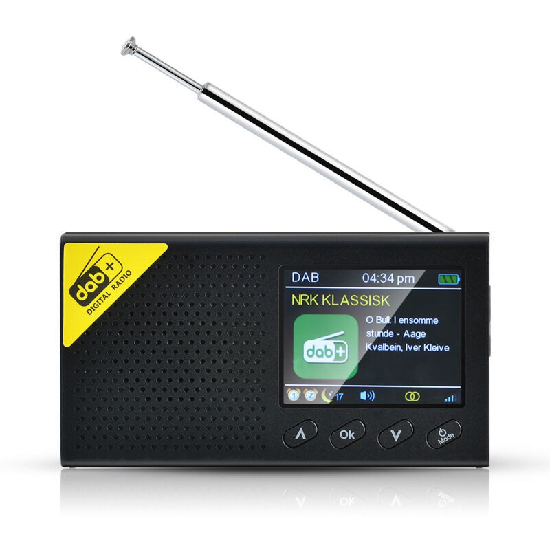Radio Numérique Dab Portable, 1000 Ma, Noire - Radio Numérique Dab Portable, 1000 Ma, Noire