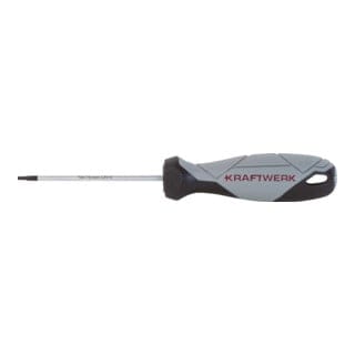 Kraftwerk BASIC LINE Schraubendreher TX T8 x 75 mm
