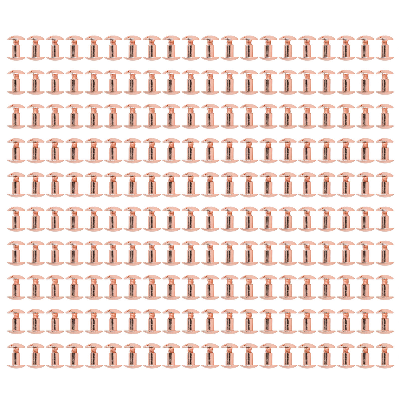 200er-set Buchbinderschrauben, Gleichmäßige Beschichtung, Gekrümmte Oberflächen, Galvanisierte Behandlung, Buchbinder-rundkopf-flachkopfschrauben, Gold