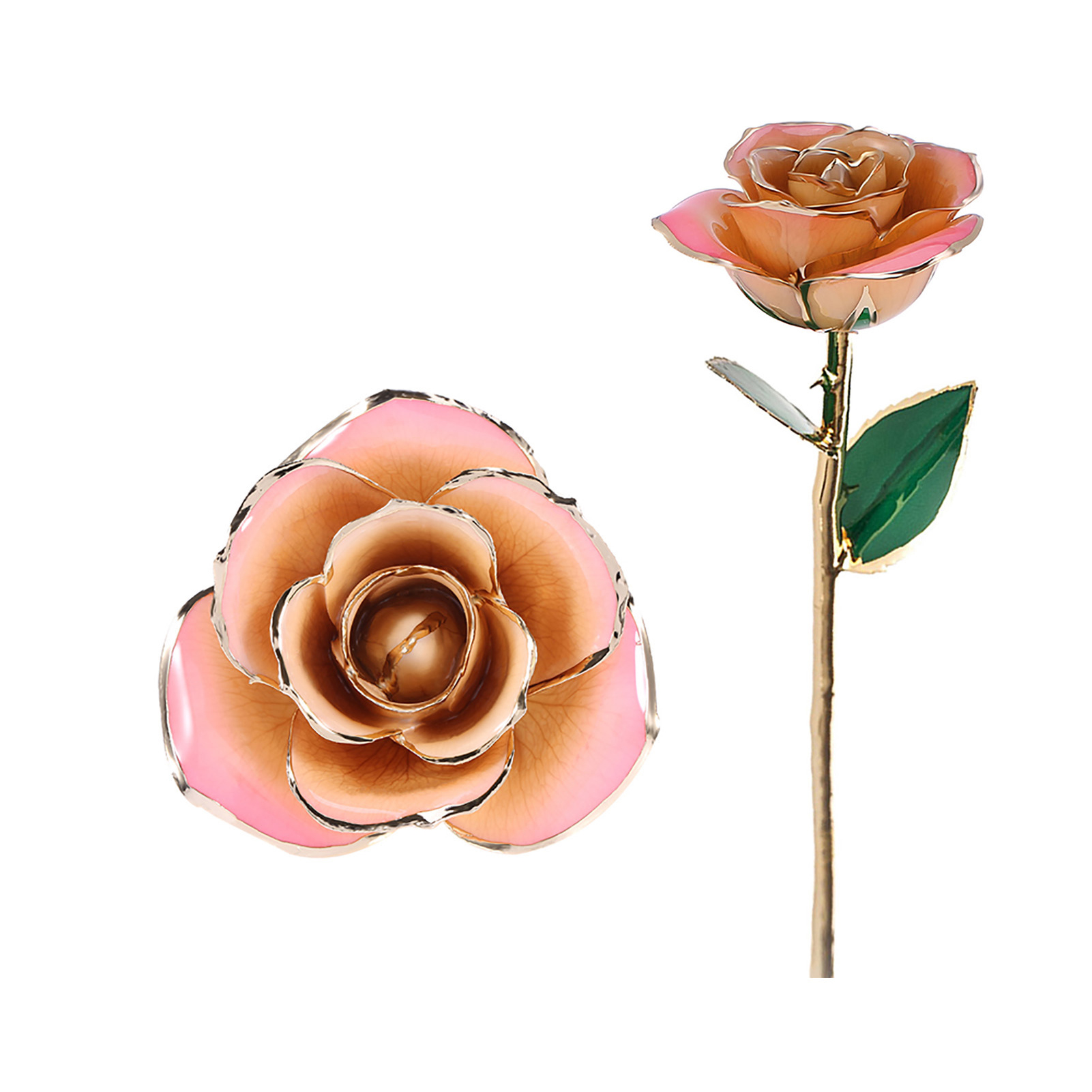 24-karätig Vergoldete, Konservierte Rose, Langstielig, Kostbare Geschenkrose, Rosa-weißer Farbton