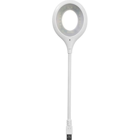 Schreibtischlampe Mit Augenschutz, Sprachgesteuerte Usb-led-lampe Für Büro Oder Arbeitszimmer.