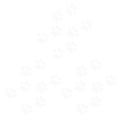 24 Autoaufkleber Mit Katzenpfotenabdruck