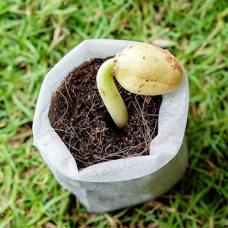 Biologisch Abbaubare Anzuchtbeutel Aus Vliesstoff, Weiß, 8 X 10 Cm, 2er-packung