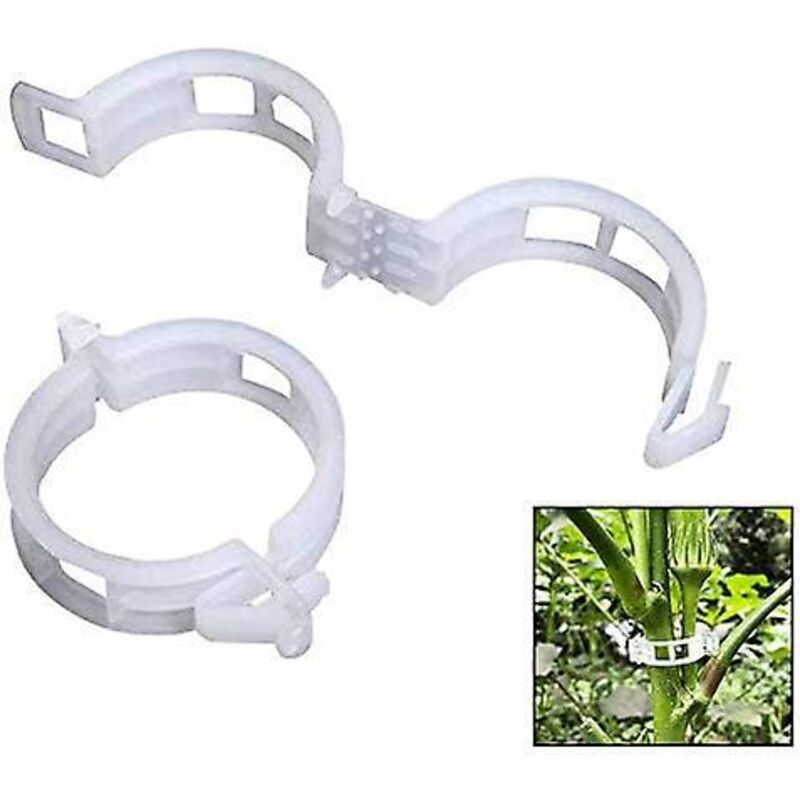 Kunststoff-pflanzenclips Für Kletterpflanzen, Ideal Zur Unterstützung Von Tomaten, Paprika, Kletterpflanzen Und Aufrecht Wachsenden Blumen.