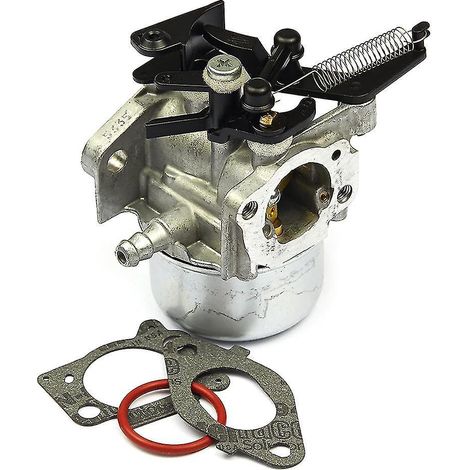 Vergaserreparatur Für Motoren 591137 590948 111000 11p000 121000 12q000 796608