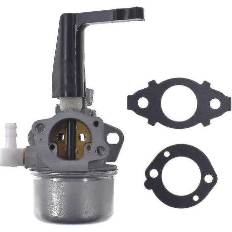 Ersatzvergaser 696065 Mit Dichtungssatz Für Briggs & Stratton