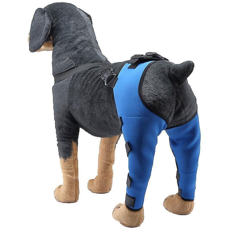 Schutzpolster Für Hunde-ellbogen Und Hinterbeine, Verstellbare Knieschoner, Pfotenstütze – Größe L – Blau