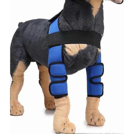 Chirurgischer Schutz Für Hunde, Knieschoner, Beinschützer (blau, Größe S)
