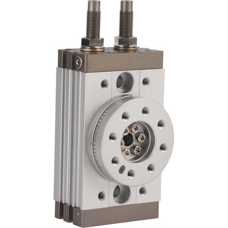 Msqb-20r 180° Drehbarer Pneumatikzylinder Mit Stoßdämpfer Und Doppeltwirkender Funktion