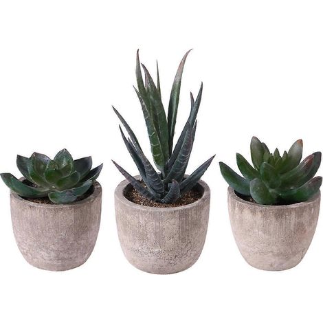 Ounona Set Mit 3 Künstlichen Sukkulenten Mit Töpfen – 7,00 X 6,50 X 6,50 Cm