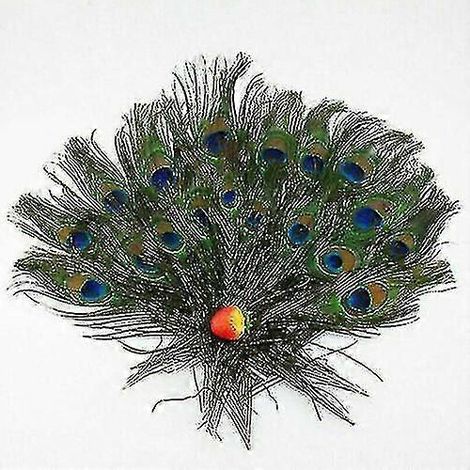 100 Natürliche Pfauenschwanzfedern (25-30 Cm) Für Diy-blumenstraußdekoration - 20 Stück