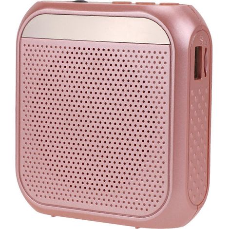 Multifunktionaler, Tragbarer, Kabelloser Sprachverstärker Mit Mikrofon Für Unterricht, Öffentliche Reden Und Meetings (roségold) – 9,28 X 42,8 Cm – Gold