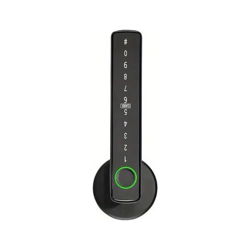 Intelligentes Haustürschloss, Entriegelung Per Fingerabdruck, Code Oder App, Schlüsselloser Elektronischer Türgriff Für Schlafzimmer, Büro, Zuhause (schwarz)