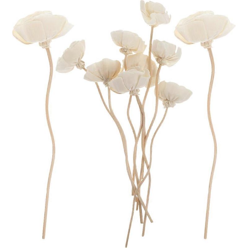 10 Diffusorstäbchen Mit Getrockneten Blüten Für Ätherische Öle Und Aromen – 22 X 4,5 Cm – Weiß