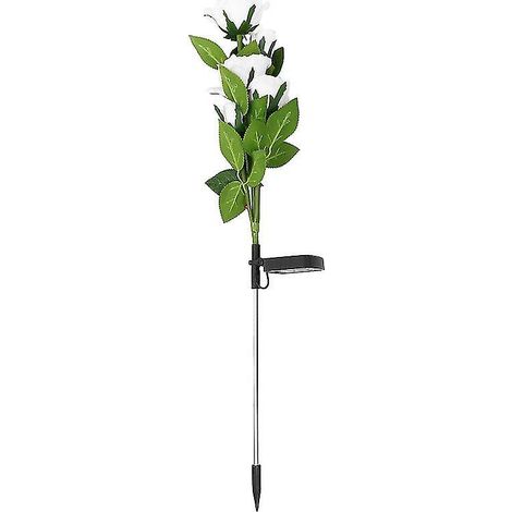 1 Rosenlampe