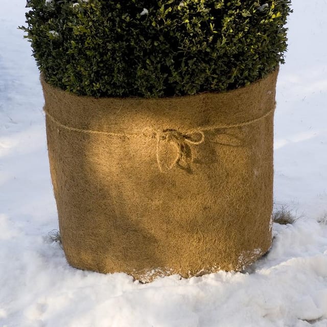 floraworld Kokos-Schutzmatte 1,5 x 0,5 m - -