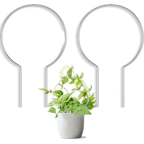 Set Mit 2 Acryl-pflanzenstützrahmen Für Kletterpflanzen Zur Verbesserung Des Wachstums Und Der Präsentation Von Kletterpflanzen In Gärten Und Wohnungen