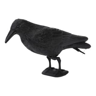 floraworld Tierfigur Rabe Kunststoff, schwarz 37x15cm