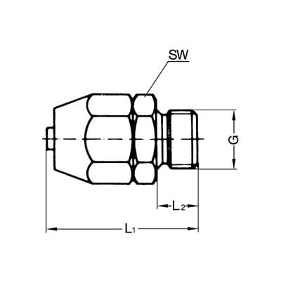 Riegler Einschraubverschraubung, für PVC-Pneumatikschlauch 11,6x9, G 3/8