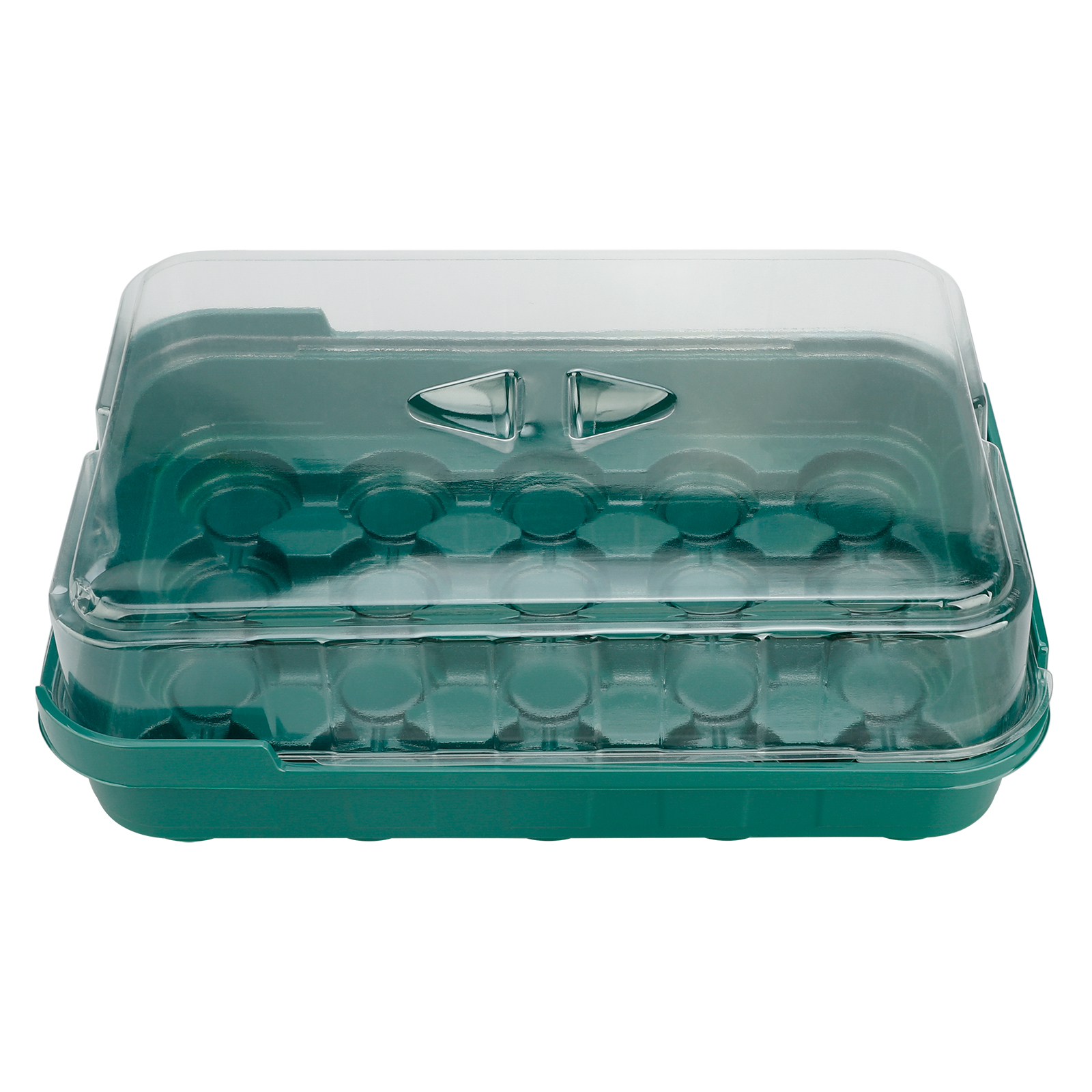 Set Mit 6 Transparenten Und Biologisch Abbaubaren Pflanzgefäßen Mit 20 Löchern, Grün.