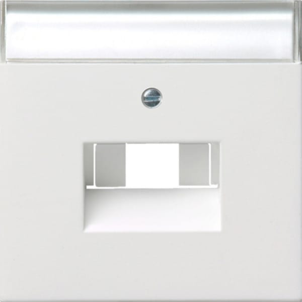 Gira Zentralplatte UAE/IAE/ISDN rws/gl m.Schriftfeld 0284112