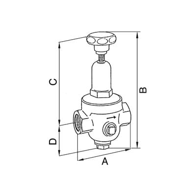 Riegler Druckregler DRV 225, Hochdruckausführung, G 1/2, 1,5 - 20 bar