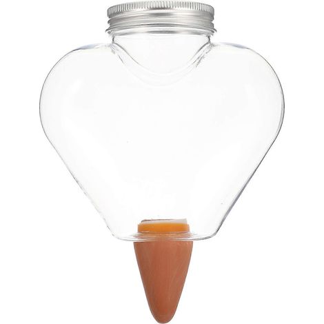 Automatisches Bewässerungssystem Für Sukkulenten Und Blumen – Selbstbewässernde Glühbirne – 16 X 12 X 5 Cm – Transparent