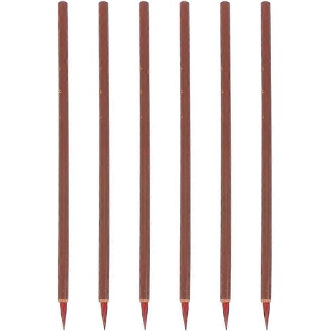 Set Mit 6 Professionellen Pinseln Für Chinesische Kalligrafie, Traditionelle Malpinsel, Schreibpinsel