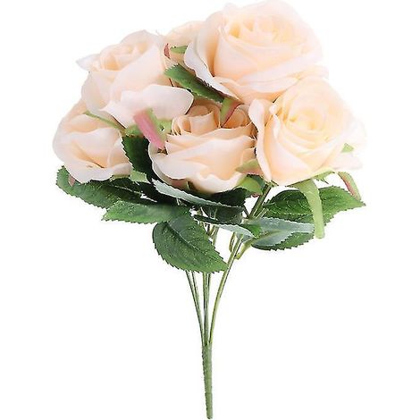 1 Seidenrose