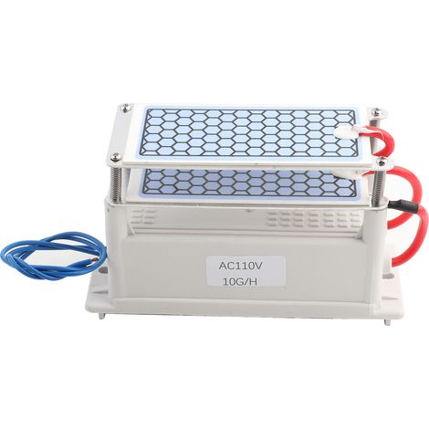 Eingebauter 10-g-ozongenerator Für Zuhause – Luftreiniger Und Geruchsbeseitiger 110 V