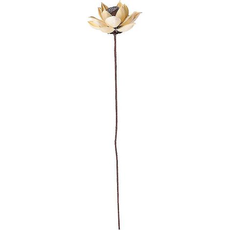 Getrocknete Blumen Als Dekoration