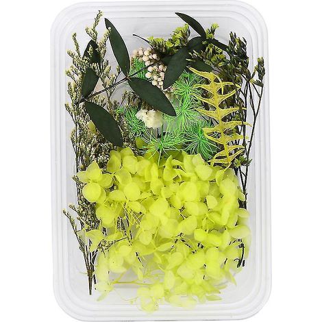 Set Trockenblumen-accessoires