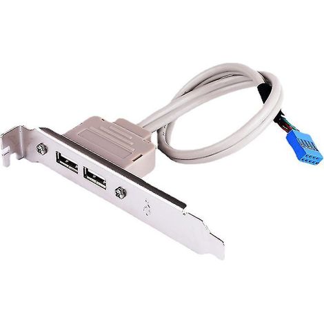 Usb 2.0 9-pin-buchsen-adapterkabel Für Die Rückseite, 2 Anschlüsse, 30 Cm Länge
