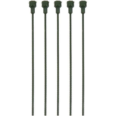 5 Blütenkopfstiele