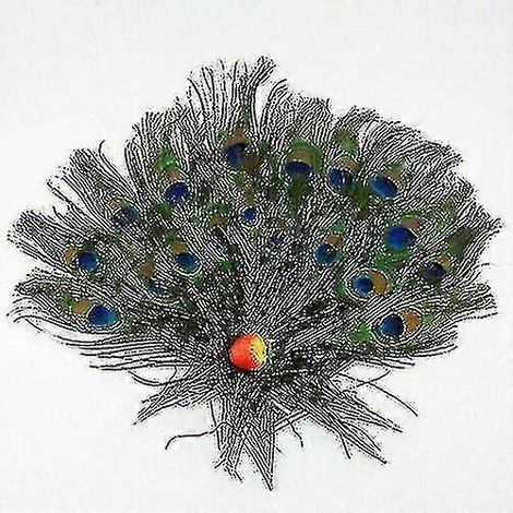 100 Natürliche Pfauenschwanzfedern (25–30 Cm) Für Diy-blumensträuße – 10 Stück